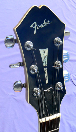 Fender D'Aquisto Standard - What To Know & Where To Buy